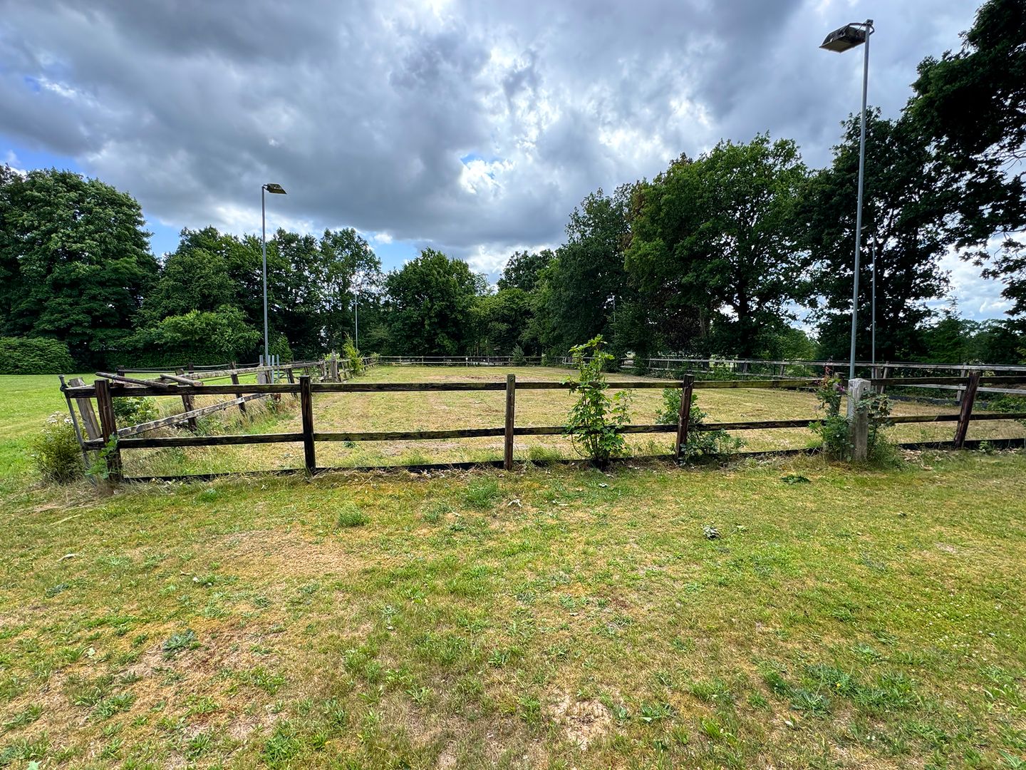 Photo 65 of Rietberglaan 8