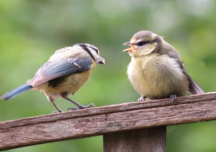 Foto 44 van Walakker 59