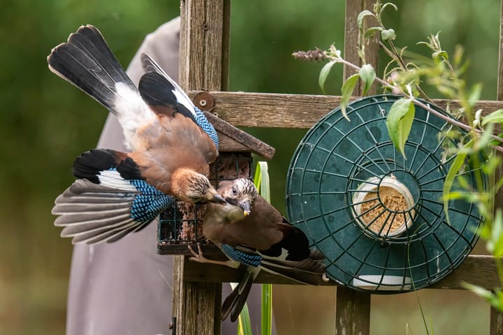 Foto 46 van Walakker 59