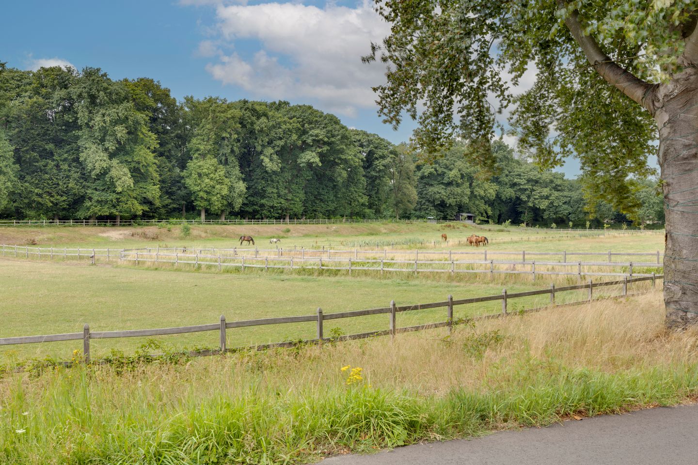 Foto 44 van Joeppe 16