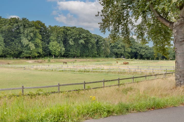 Photo 44 of Joeppe 16