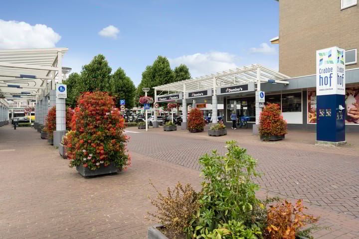 Photo 32 of Henri Polakstraat 86