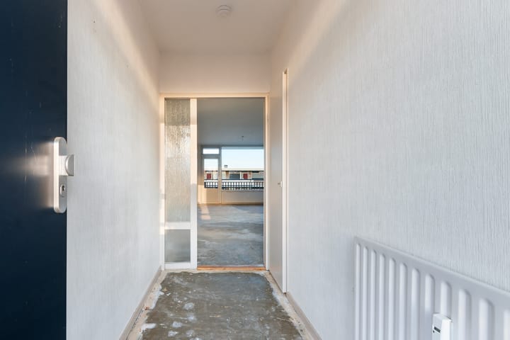 Foto 11 van Jan Ligthartlaan 117