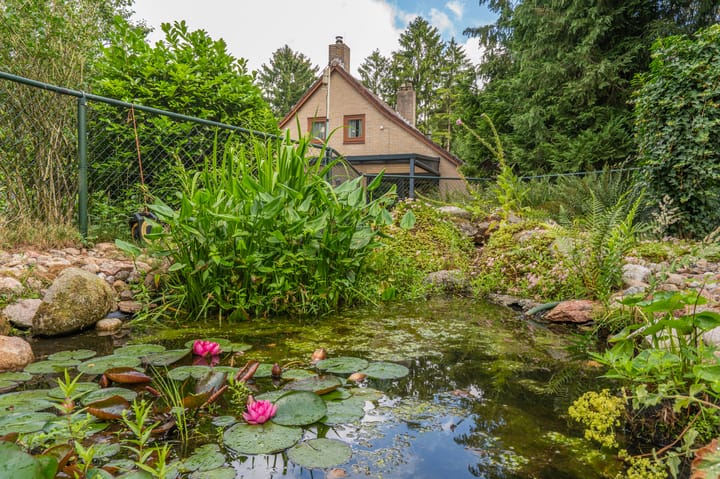 Foto 27 van Holtslagenweg 6