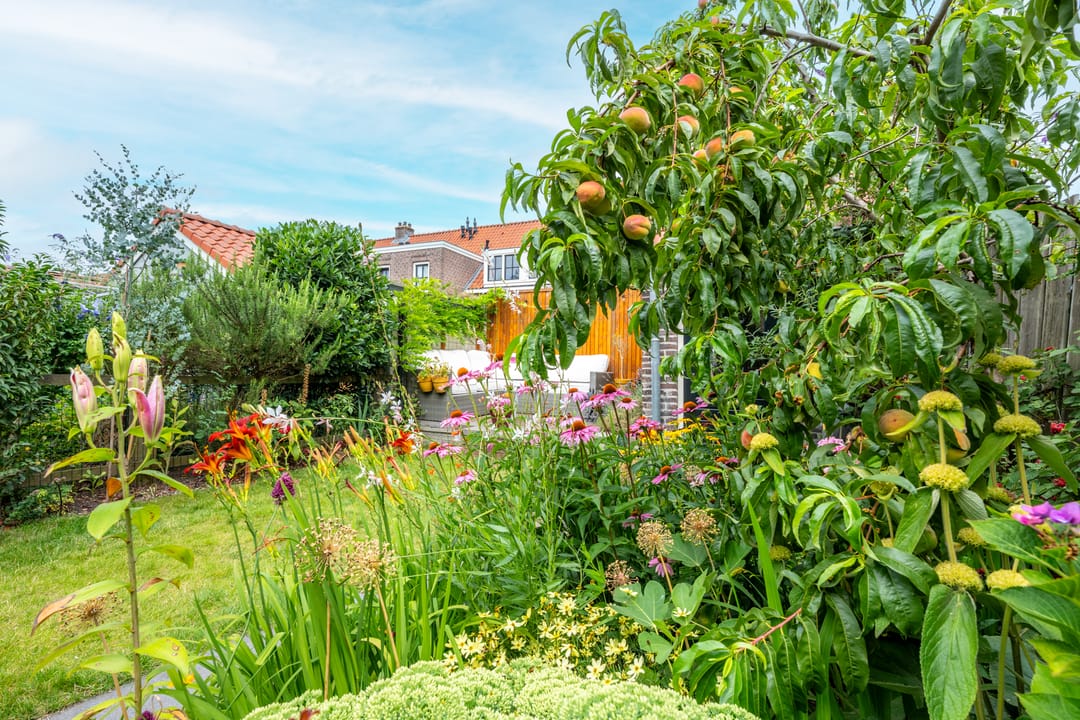 Foto 17 van Marconistraat 22