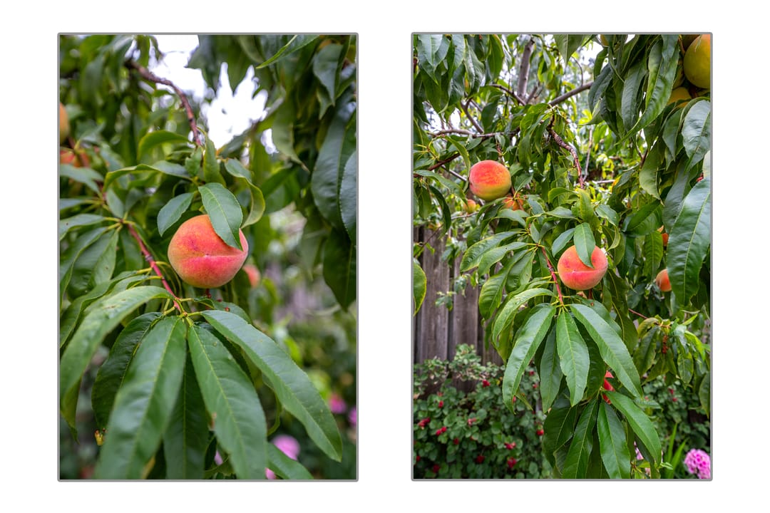 Foto 22 van Marconistraat 22