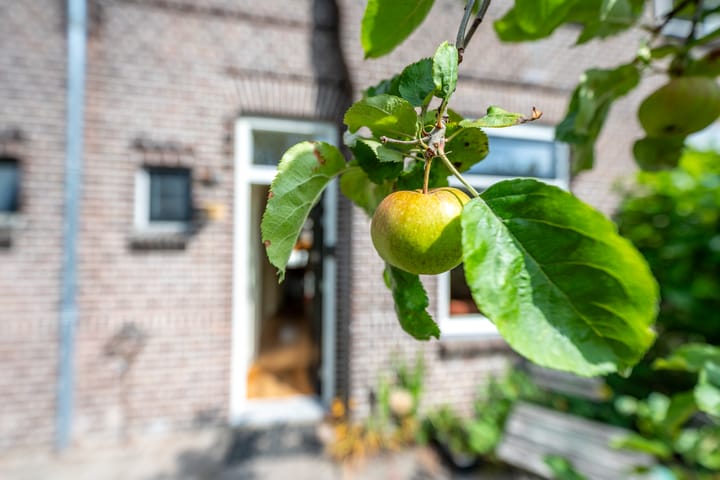 Foto 32 van Marconistraat 22