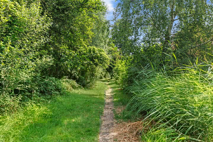 Foto 40 van Straat van Corsica 191