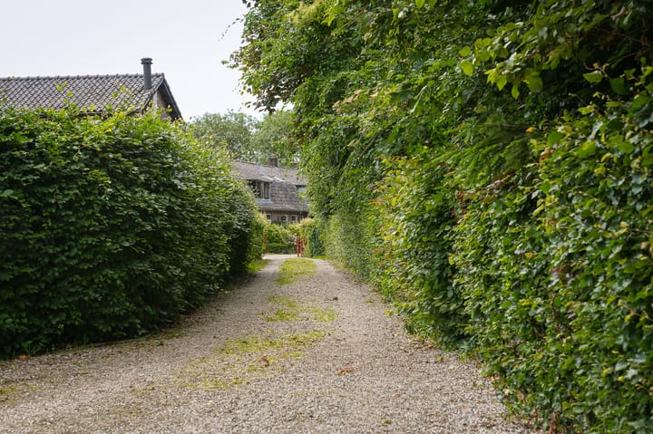 Foto 40 van Zandpad 1-A