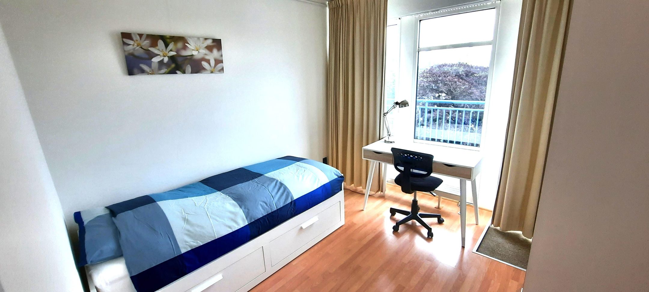 Foto 12 van Zeestraat 163