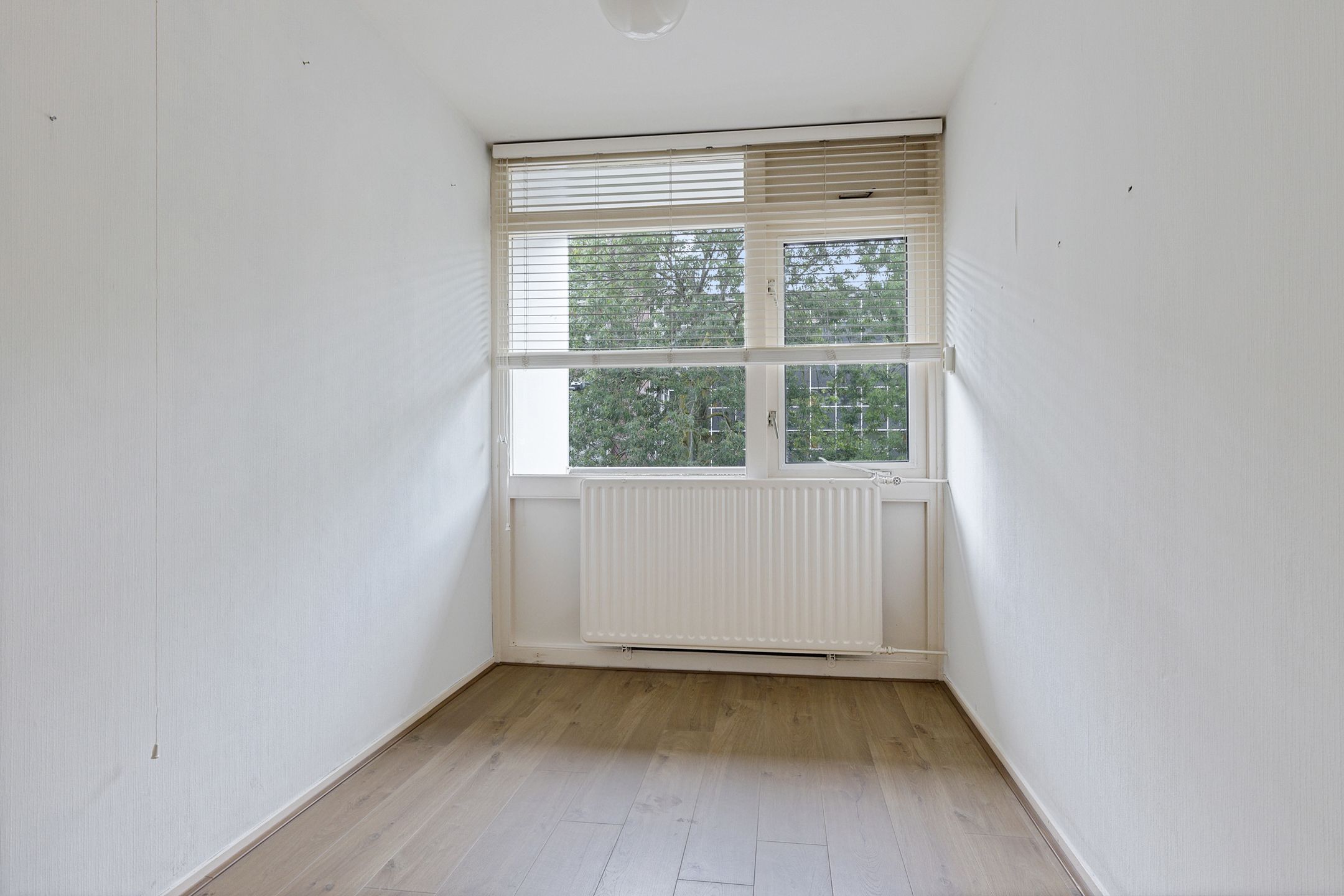 Foto 30 van Plutolaan 12