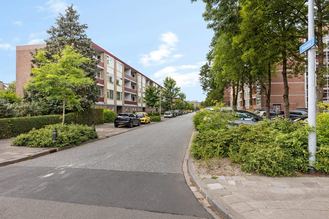 Foto 41 van Plutolaan 12