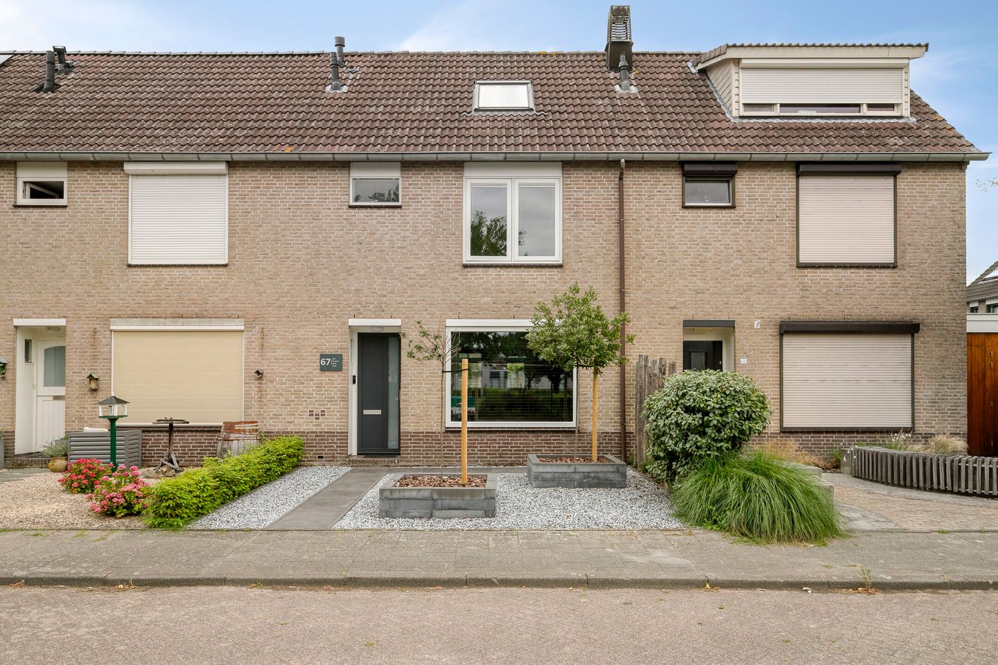 Plataan 67 main image