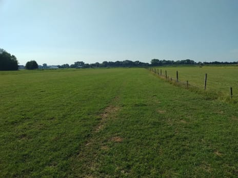 View photos