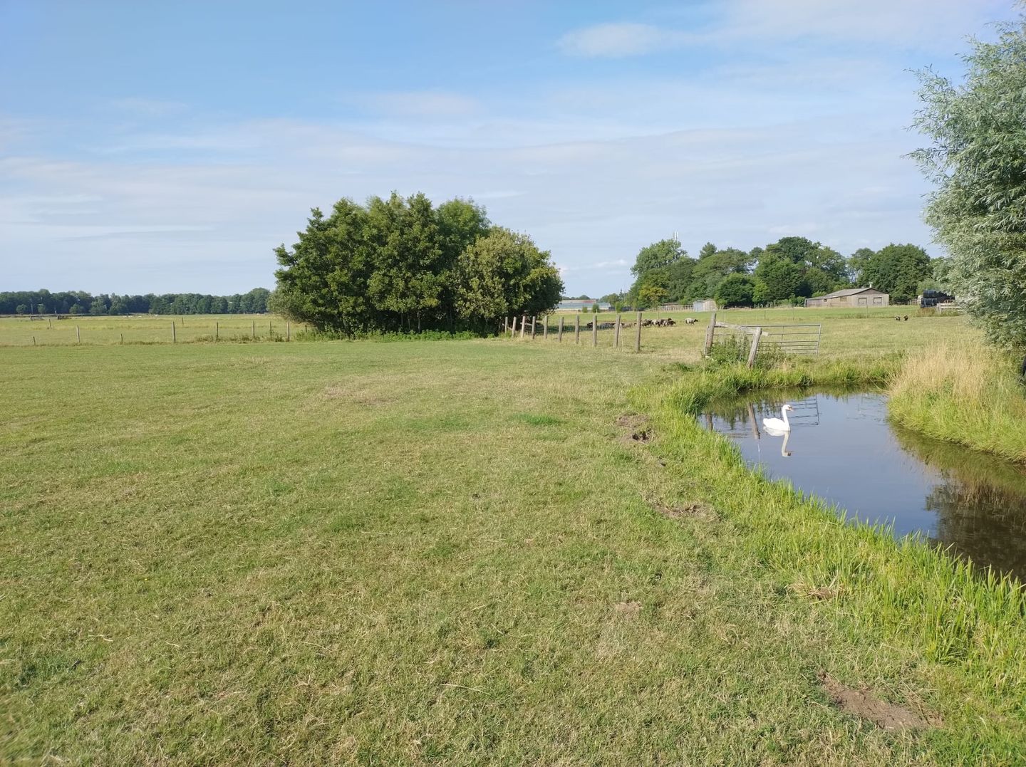 View photo 4 of Herenweg