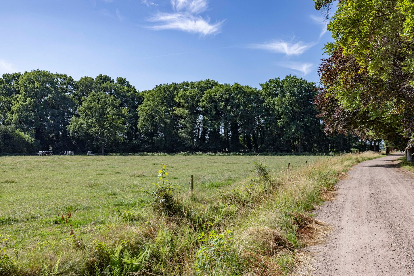 Foto 34 van Antwerpse Baan 1