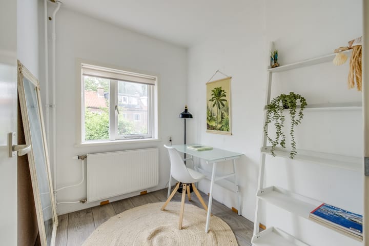 Foto 17 van Van der Steenstraat 10