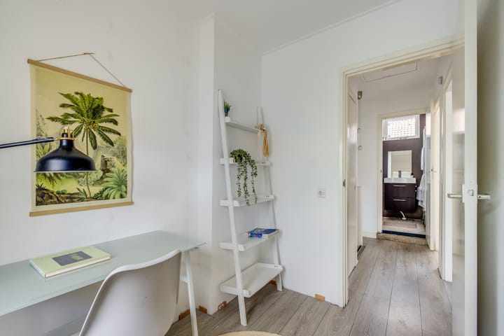 Foto 18 van Van der Steenstraat 10