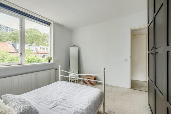 Foto 20 van Van der Steenstraat 10