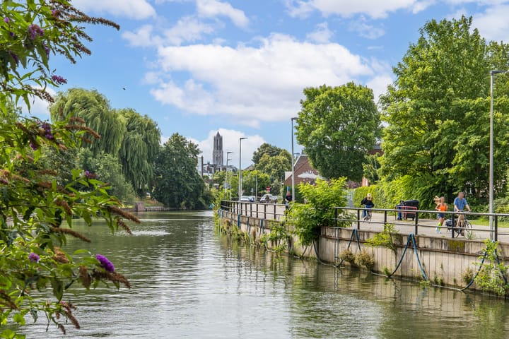 Foto 37 van Van der Steenstraat 10