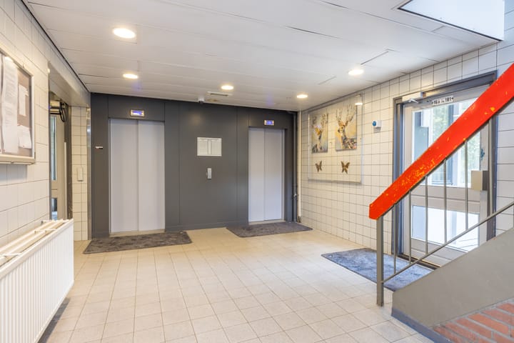 Foto 4 van Henri Dunantstraat 217