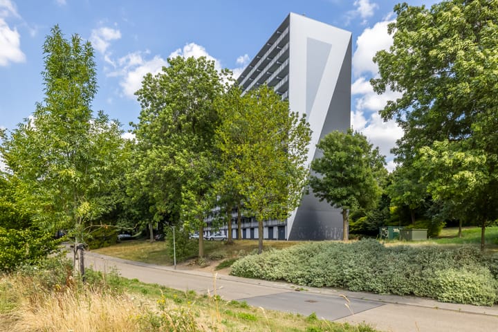 Foto 27 van Henri Dunantstraat 217