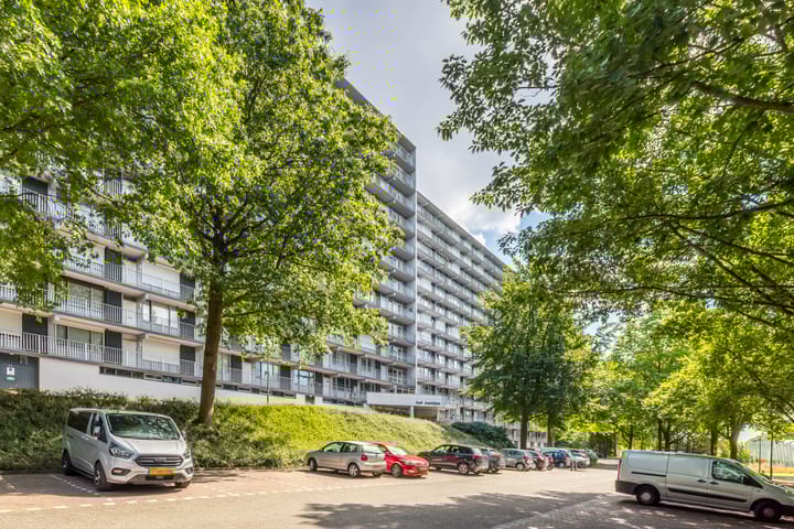 Foto 28 van Henri Dunantstraat 217