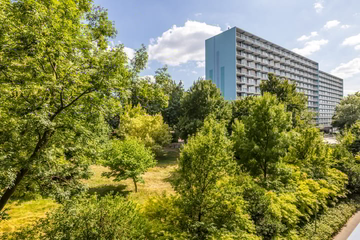 Foto 29 van Henri Dunantstraat 217