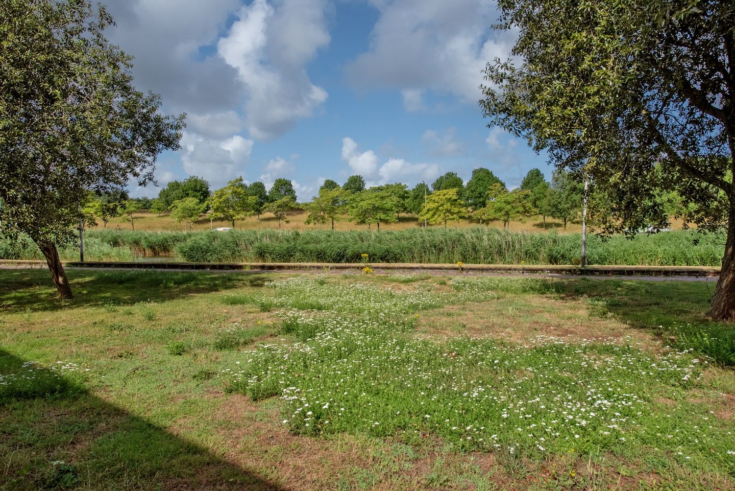 Foto 34 van Ballangéelaan 24