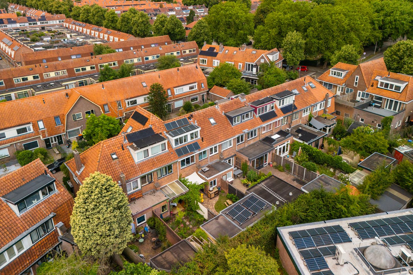 Foto 29 van Goudsbloemstraat 49