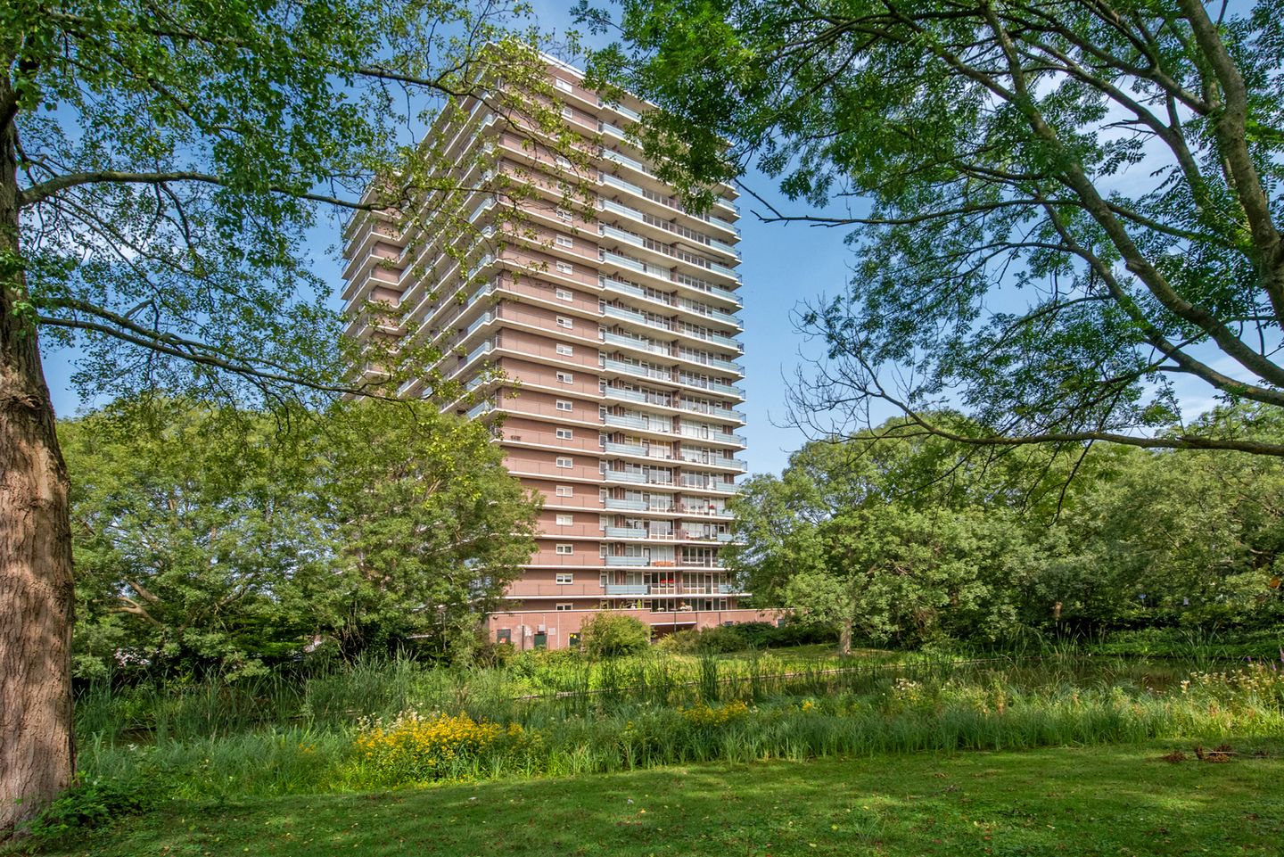 Foto 1 van Rodelaan 309