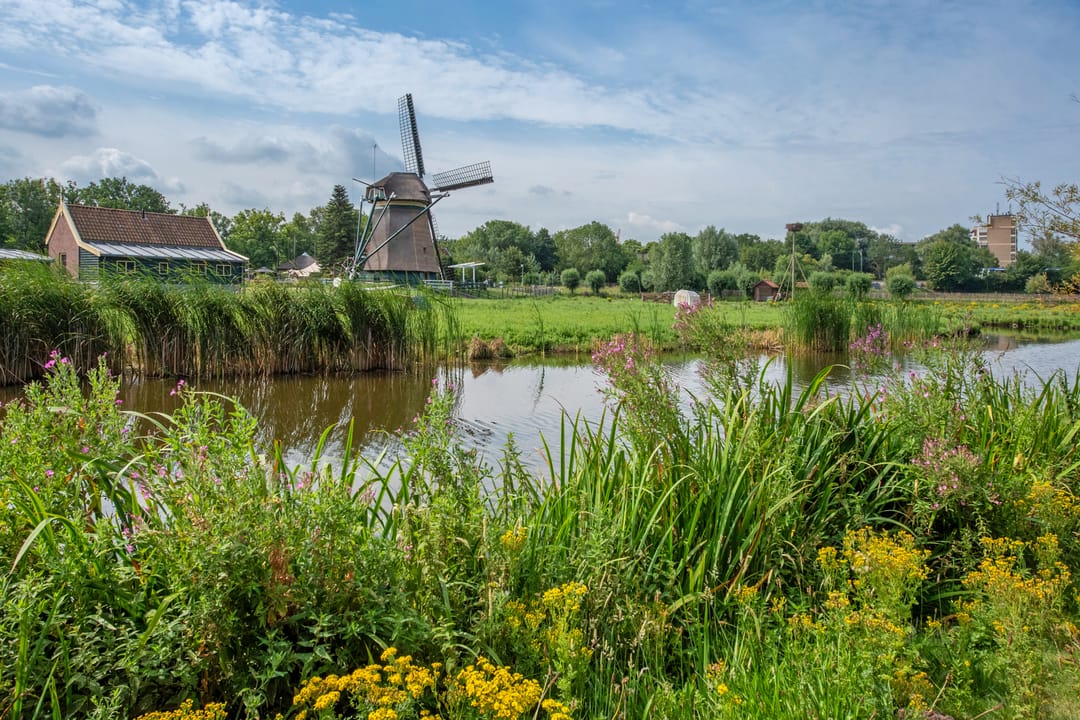 Photo 38 of Rodelaan 309