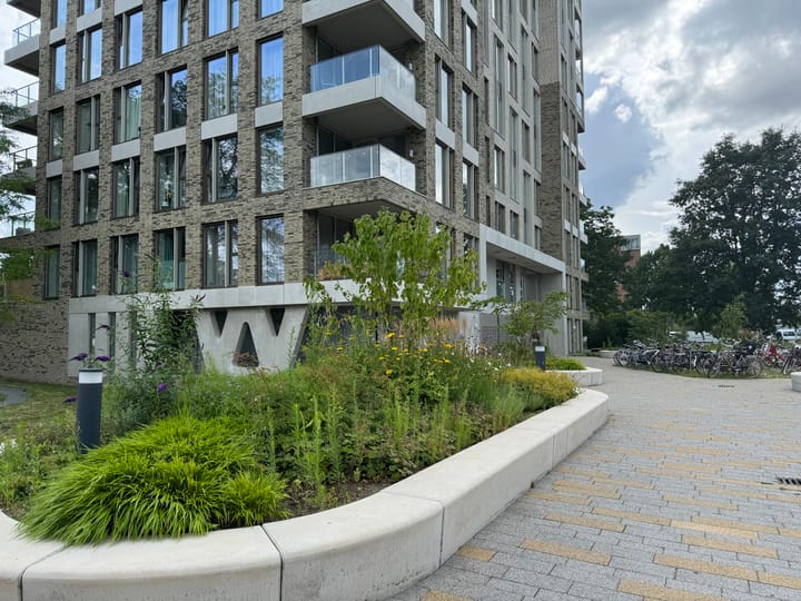 Foto 23 van Aalscholverpad 53