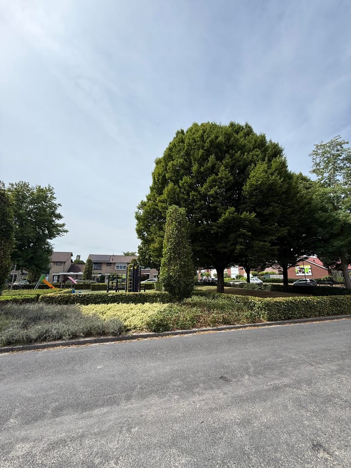 Foto 26 van Rubensplein 27