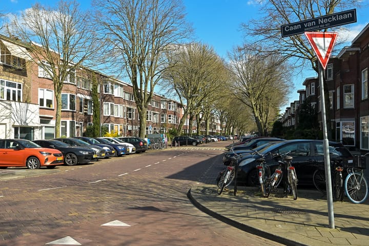 Foto 18 van Caan van Necklaan 25-A