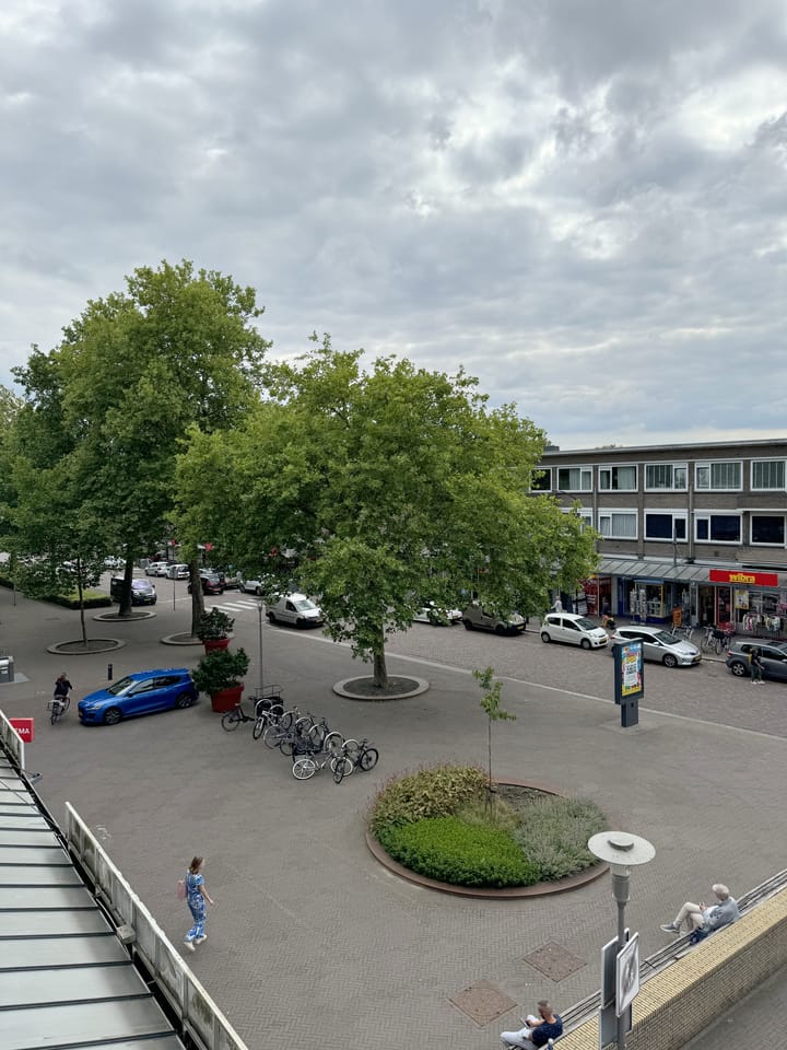 Foto 17 van Adelaarslaan 239