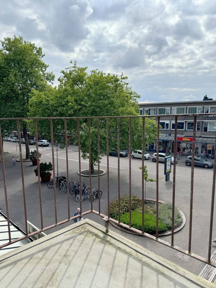 Foto 19 van Adelaarslaan 239