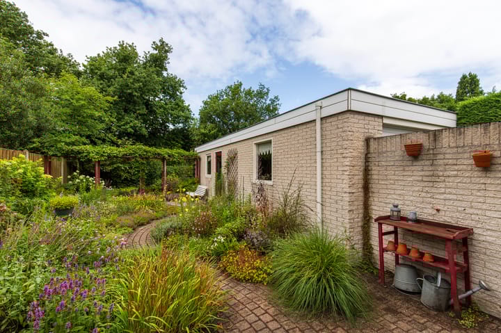 Foto 4 van Schapendreef 30