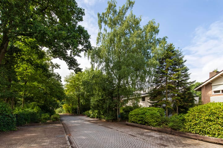 Foto 32 van Schapendreef 30