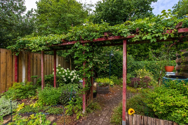 Foto 38 van Schapendreef 30