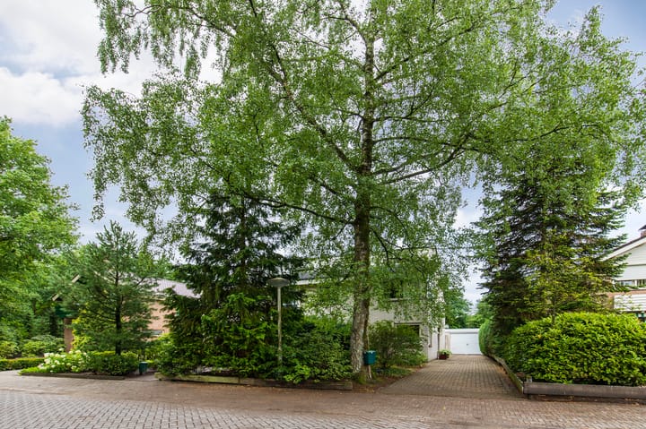 Foto 40 van Schapendreef 30