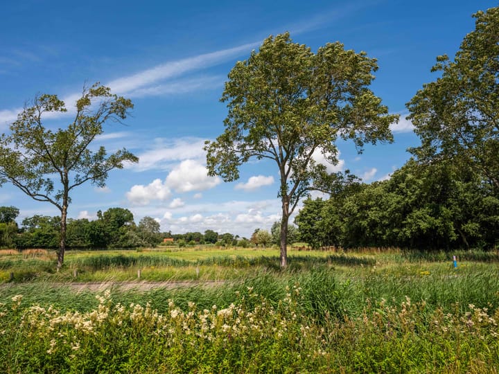 Photo 2 of Zakedijkje 32