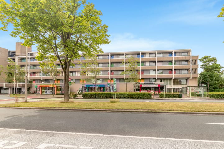 undefined main image