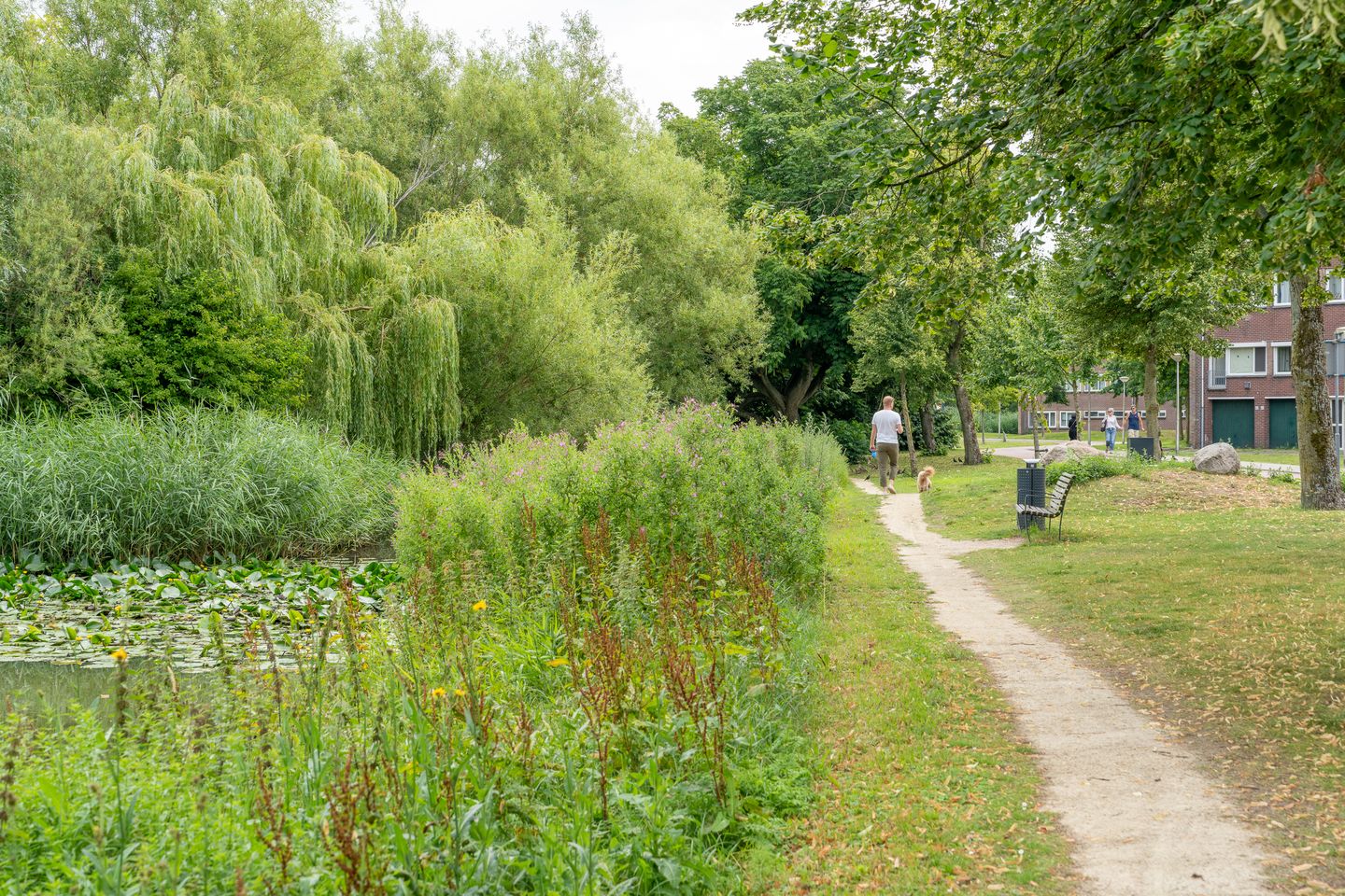 Foto 35 van Arent Krijtsstraat 53