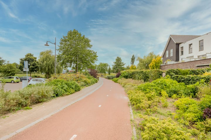 Foto 33 van Zijdevlinder 94