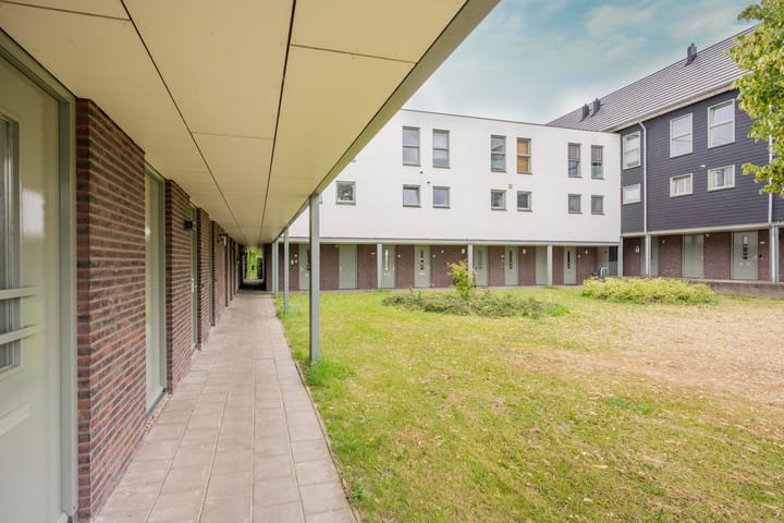 Foto 29 van Zijdevlinder 94