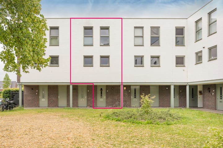 Foto 31 van Zijdevlinder 94