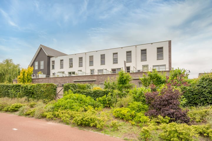 Foto 32 van Zijdevlinder 94