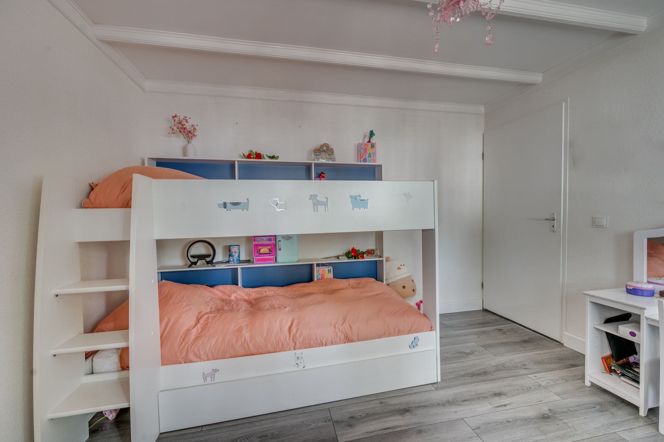 Foto 36 van Dumasstraat 13