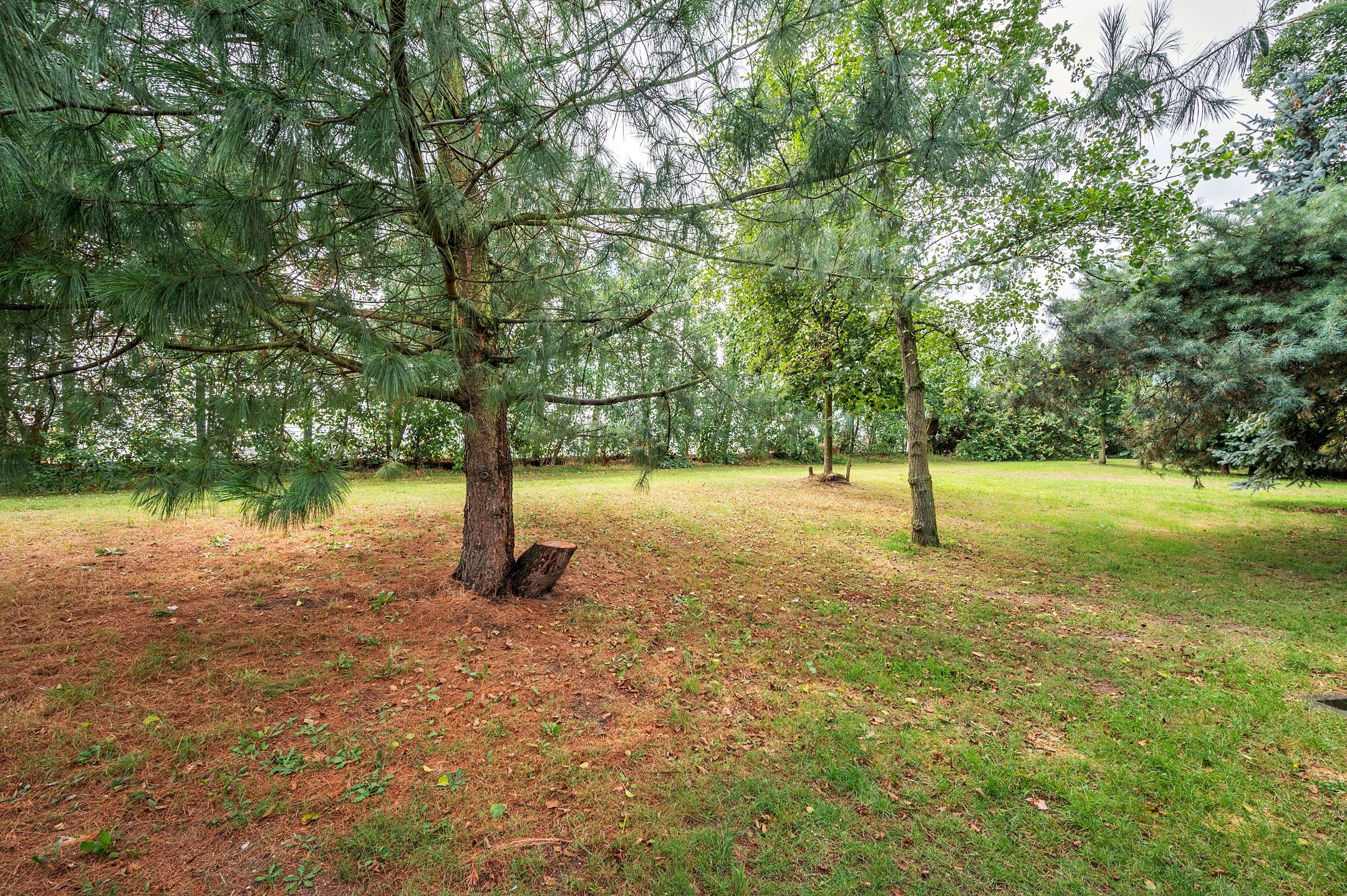 Foto 54 van Dumasstraat 13